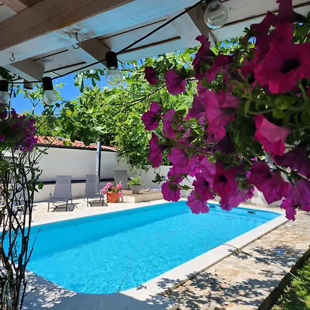 Mali Lovor * Σολίν